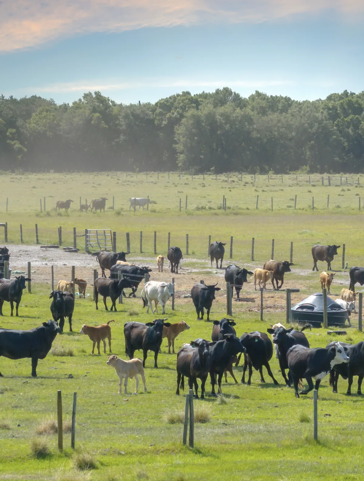 Agricultural incinerators for farms