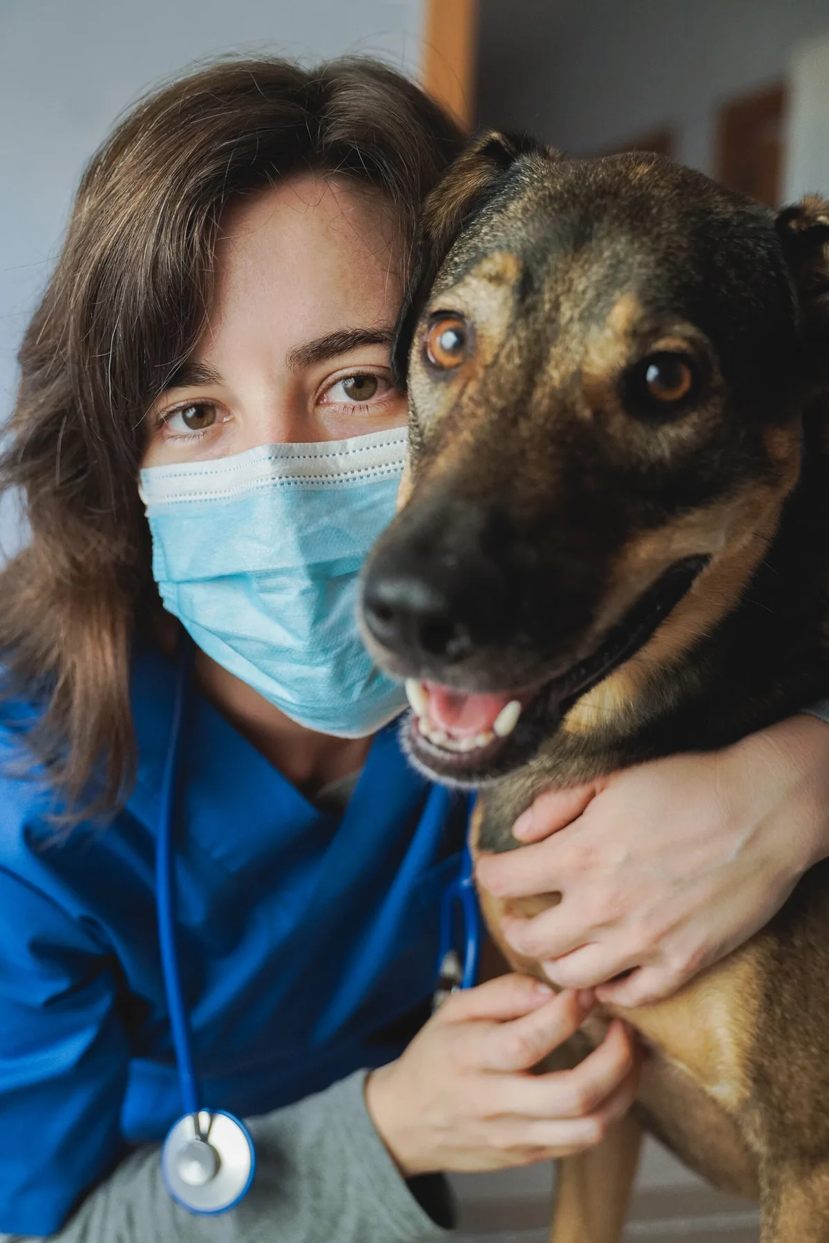Veterinary & Shelters in Florida